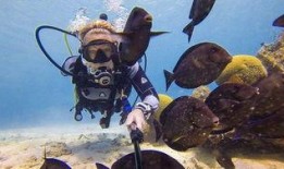 美军潜水员爆料新闻视频,深海秘密行动内幕曝光